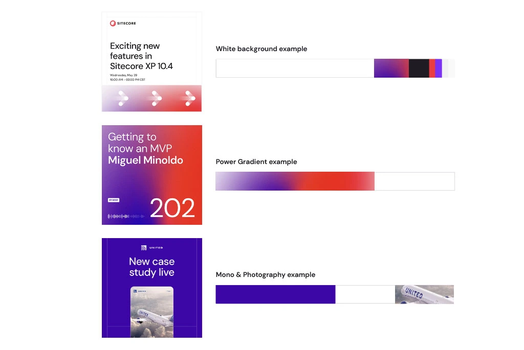 Color Application 1 Brand Guidelines img