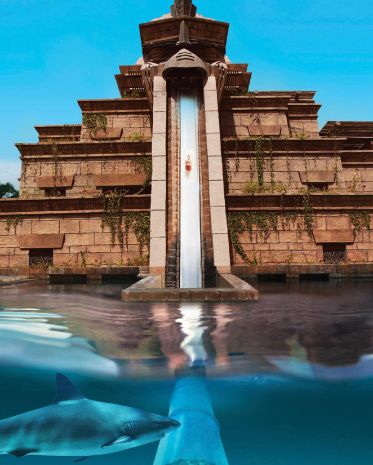 Waterslide and a pool with a shark