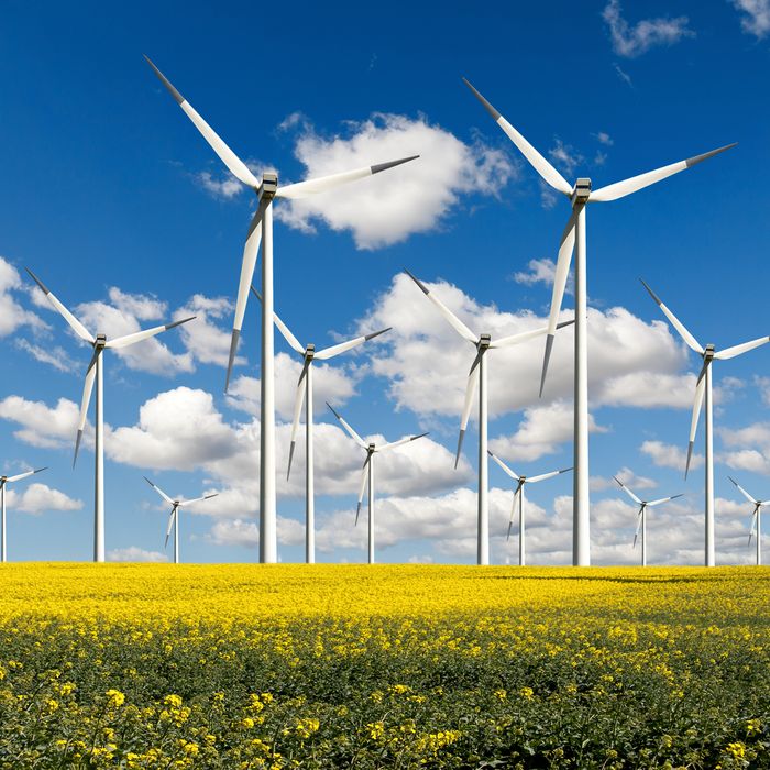 Wind turbines - alternative energy.