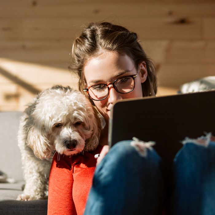 Female Artist Drawing At Home In Company Of Her Cute Poodle Dog