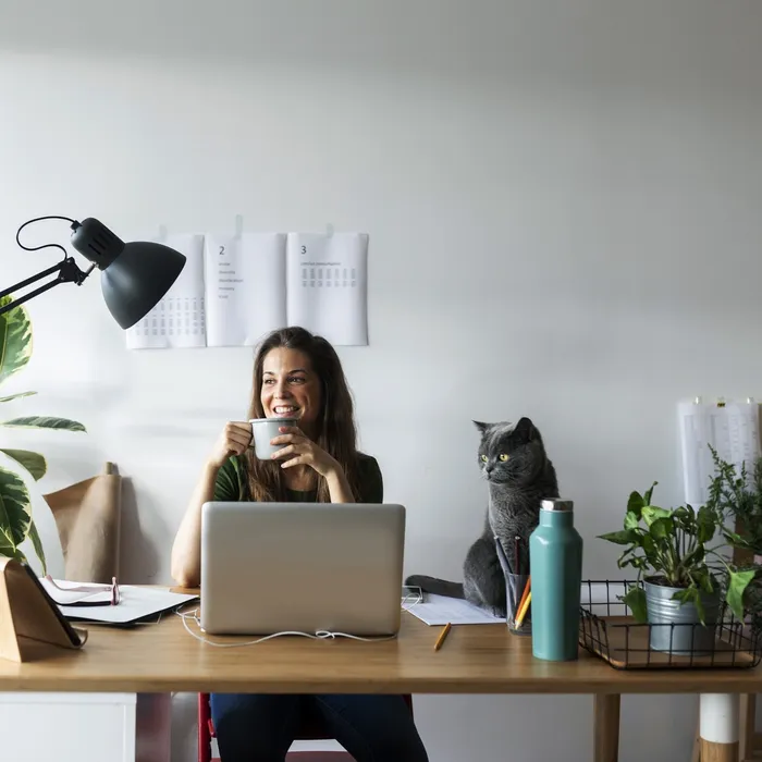 Smiling businesswoman with cat on desk having drink in home office