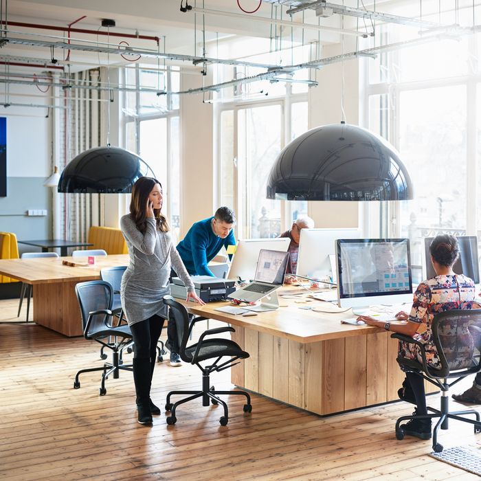 Co-workers working in start up office