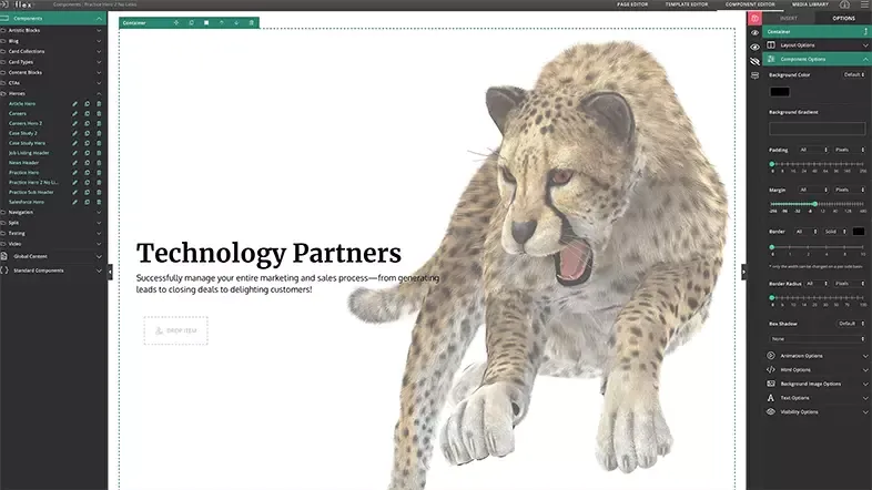 Flex Branded Commerce