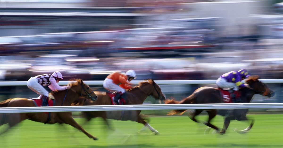 Racing.com leads the way with personalized experiences | Sitecore